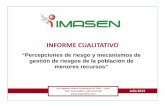 2. Presentacion resultados Focus Group - IMASEN