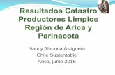 Presentacion Productores Limpios Seminario Arica 2016