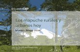 la encuesta "Los mapuche rurales y urbanos hoy"