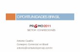 Oportunidades Comerciales en Brasil