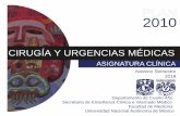 programa académico cirugía y urgencias médicas 2014