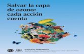 Salvar la capa de ozono: cada acción cuenta