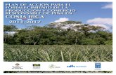 Plan Acción de Piña en Costa Rica