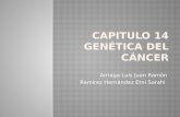 genética del cáncer