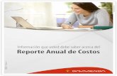 REPORTE ANUAL DE COSTOS 2016 af AJUSTES.cdr