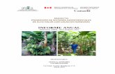 Informe Anual Proyecto Promoción de Sistemas Agroforestales de ...