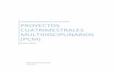 1 Proyectos Cuatrimestrales Multidisciplinares (PCM) TUVCH ...