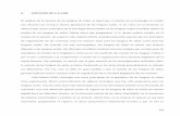 8. SINTAXIS DE LA LSM El análisis de la sintaxis de las lenguas de ...