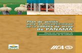 Plan de acción para la competitividad de la cadena de arroz
