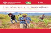 La Juventud y la Agricultura: Desafíos clave y soluciones concretas