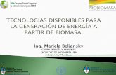 Ponencia Mariela Beljansky - Tecnologías para generación de ...