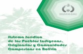Sistema Jurídico de los Pueblos Indígenas, Originarios y ...