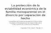 20110616-La proteccion de la estabilidad economica de la familia ...