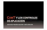20091206 CobiT y los Controles de Aplicación