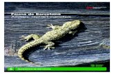 Fauna de Barcelona Amfibis, rèptils i mamífers