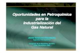 Oportunidades en Petroquímica para la Industrialización del Gas ...