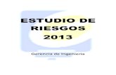 ESTUDIO DE RIESGOS 2013