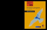 Monografía: El halcón peregrino en España