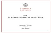 La actividad financiera del sector público