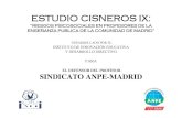 Informe Cisneros IX