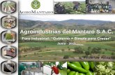 Cadena Productiva Agro Exportadora de la Alcachofa en la Sierra ...