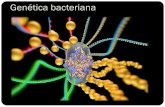 Genética bacteriana completo Medicina 2016