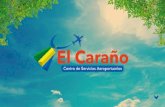 ¿Qué es El Caraño, Centro de Servicios Aeroportuarios?