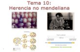 Tema 10: Herencia no mendeliana y elementos genéticos móviles
