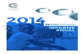 Informe anual del año 2014 FCAS