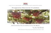 INTA_ Programa Nacional Frutales_Cadena de la uva de mesa.pdf