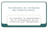 TRATAMIENTO DE LAS INFECCIONES POR Pseudomonas ...
