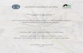 Estudios de biología de la germinación y demografía de Bidens ...