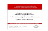 Álgebra Lineal, Álgebra Multilineal y K-Teoría Algebraica Clásica