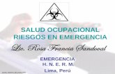 Salud Ocupacional Riesgos en Emergencia