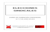 'Elecciones Sindicales' (PDF)