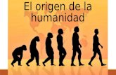 Evolución de los hominidos