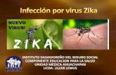 Infección por virus zika