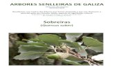Arbores senlleiras de Galiza (sobreiras)