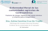 Enfermedad Renal Crónica de las comunidades agricolas de Centroamerica