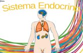 Histología del Sistema endocrino