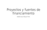 Proyectos y Fuentes de Financiamiento