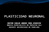 Clase de plasticidad neuronal dr carlos vera