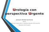 (2016 10-31) actualización urología