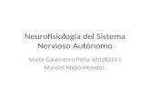 Neurofisiología del sistema nervioso autónomo