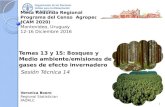 Temas 13 y 15: Bosques y Medio ambiente/emisiones de gases de efecto invernadero