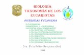 Taxonomía de los eucariotas diversidad y filogenia