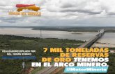 Decretada creación de la zona estratégica integral minera del Arco Del Orinoco
