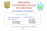 Taxonomía de los eucariotas diversidad y filogenia filo arthropoda