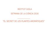 Plantes aromàtiques pwp (1) (1)