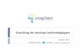 Cogiteo presentation 2017 FR